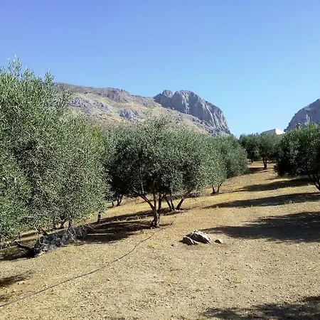 El Ventorrillo La Alegria Malaga